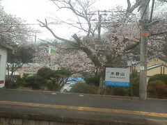 2016.04.03　播州赤穂ゆき普通列車車内
沿線は桜の季節！

