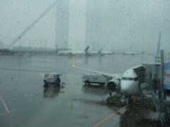 羽田空港は雨でした。

でも、たどり着いただけよかったです。