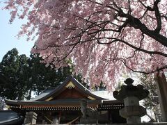 桜山神社

公式HP
http://www.sakurayamajinja.jp/