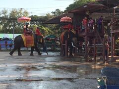 アユタヤに到着後、まずは約２０分間の象乗り体験。

アユタヤ遺跡群一帯は南北約４キロ、東西約７キロの広さがあり、バンコクの北約７２キロに位置し、バスや車で約１時間半かかる。また、鉄道の駅もアユタヤ遺跡群一帯の東側にあり、バンコク中央駅から１日三十数本の列車が出ているそうで所要時間はこれも約１時間半くらいとのこと。