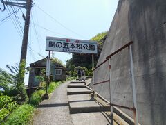 関の五本松公園に行ってみます。