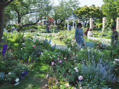 結局７館巡り本日の目的地港が見える丘
公園にやってきました。
今までバラ園だったエリアがこの４月から
イングリッシュローズガーデンに生まれ
変わったんです。




