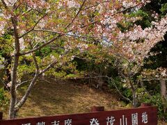 賢島を挟んで向う側にあたる大王町にある登茂山園地

ここはなにも見晴らしがないと思っていると、少し先の桐垣展望台からの眺めがいいと聞き、行ってみます。
