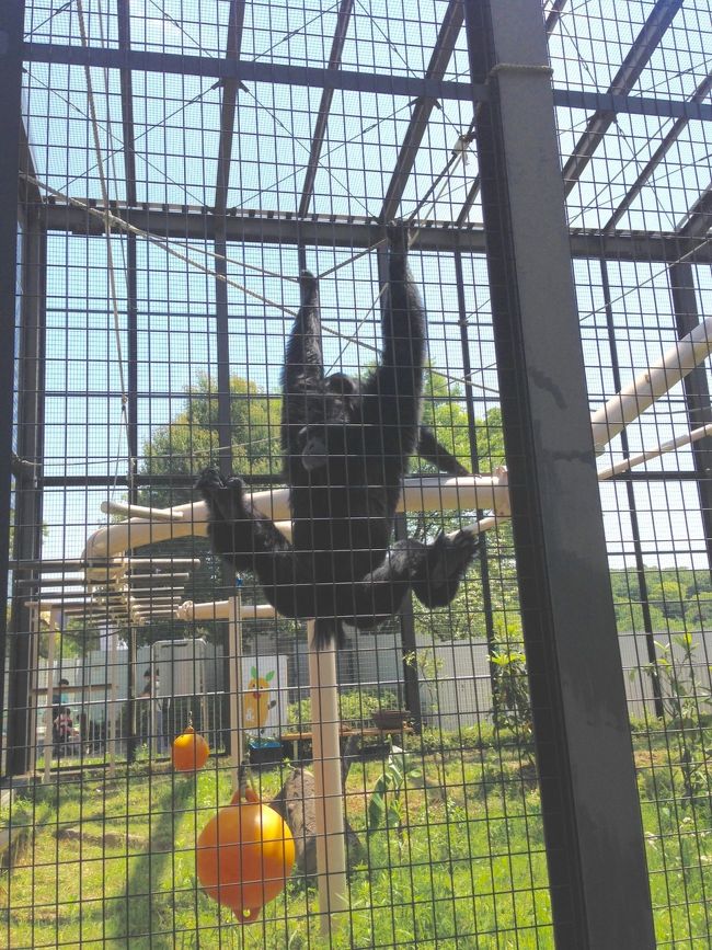 お股を見せつける。