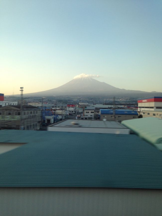 帰りは富士山側の席を取れました。<br /><br />いつも、京都か新大阪に行くことが多いので、名古屋から東京はあっと言うまでした！