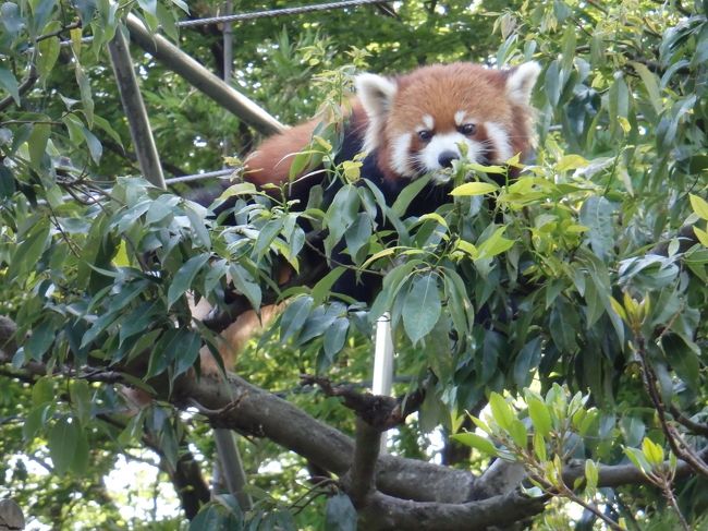こどもが撮った一枚。よく撮れてるやん。