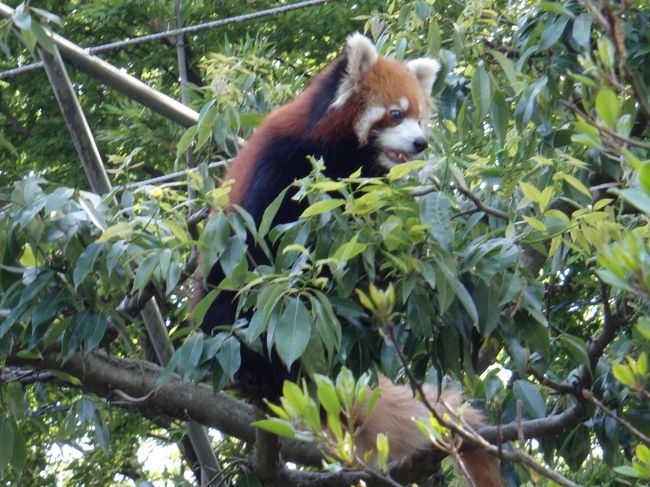 ２匹とも動いてくれて良かったわ。