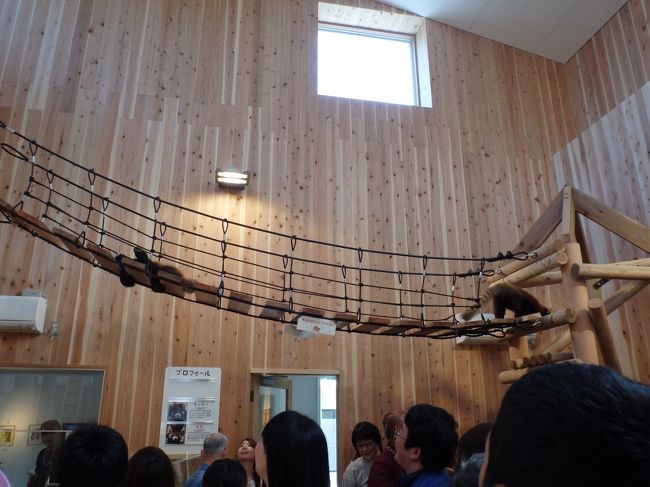 この風景、旭山動物園思い出すかも。