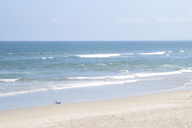ノンヌォックビーチの風景<br /><br />波がちょっと荒いような気もします。<br />日本では、冬でもサーフィンを楽しむ若者の姿を見かけますが、ベトナムではサーフィンはやらないのかな？