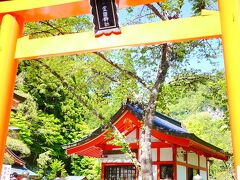 昇仙峡でランチの後は、更にのぼって金櫻神社へ

金峰山を御神体とし、武田家代々の祈願所でもある神社です。
