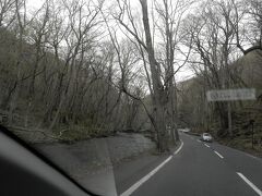 細い国道のわきを静かに流れる奥入瀬川。

走り去る車窓の景色が、薄暗さも手伝って本当に心休まる感じなのですが、ここで停まっても中途半端にしか見られないので泣く泣くアクセルを踏み込みました。

また、改めてじっくりとめぐりたいですね。