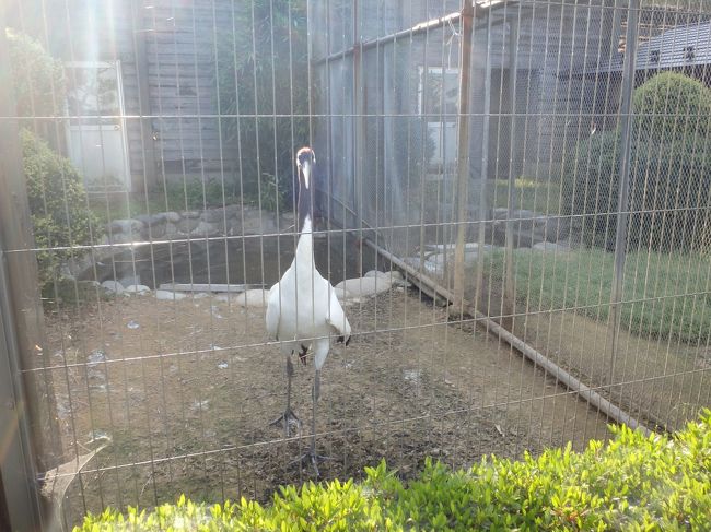 ミニ動物園隣接なので、いろいろな動物がいます。