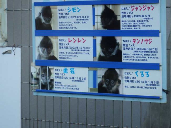 シャバーニの親戚もいるか！？(⌒∇⌒)