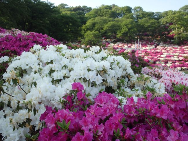 これだけのものが無料開放。太っ腹。うちからだと、ちと距離があるのが残念。