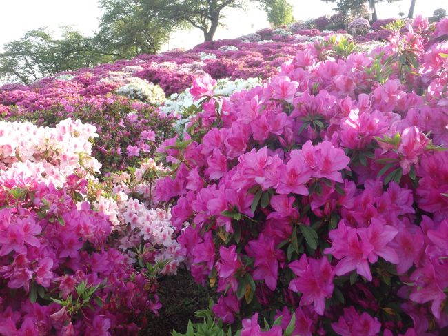 でも何かの機会には、また見に来たいな。