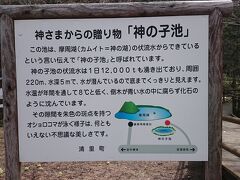 神の子池に到着。駐車場は無料。道々から駐車場まで１?弱の砂利道です。
（9：10）（34㎞）
水深５ｍもある様に見えません。それだけ透明度に優れています。湧き出し部分と思われる辺りが特に青い色をしており幻想的です。