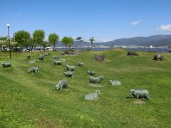 あまりにもお天気が良いので諏訪湖でお散歩
青い空と緑の草原、羊のオブジェがとっても似合いますね。