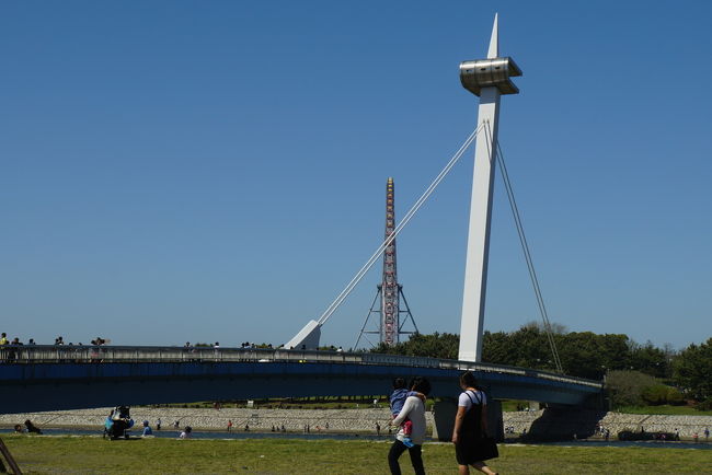 カメラを片手に葛西臨海公園へ