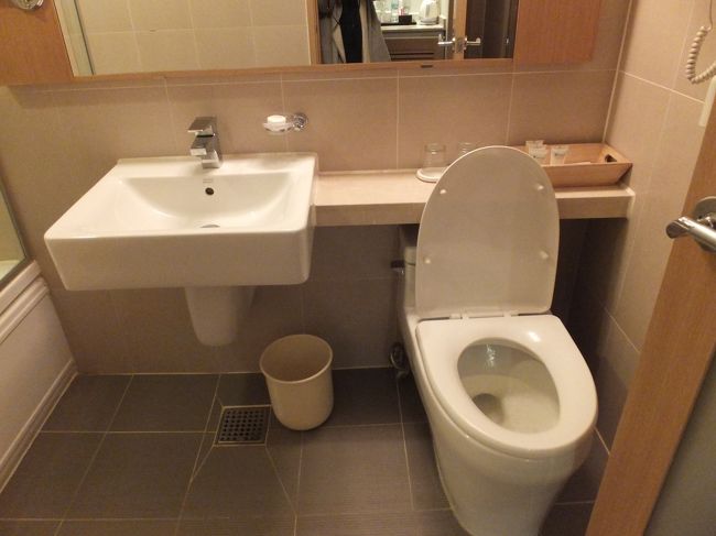 トイレとか<br /><br />今後の参考のため