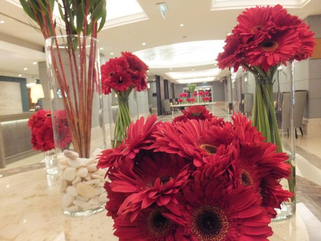 真夜中近くに空港に着いたが、沖止めのためバスで建物まで移動し、やっとこさのイミグレ<br /><br />ムニャムニャ眠い・・・<br /><br />たぶんそんなに待たずにイミグレを通過したと思うが、あまり記憶が薄い<br /><br />そして心配だったスーツケース<br />以前、ブリュッセルに行ったときにヒースローでロストバゲージされたかんね<br /><br />今回は乗り換え時間が６時間ぐらいあったので大丈夫だと思っていたが、ちゃんと届いていて一安心( ;∀;)<br /><br /><br />空港からホテルまではタクシーで<br />リスボンの空港は市街地に近いんだよね<br /><br />確かにホテルまではチップ込みで１１ユーロで来れたよ<br /><br />ホテル：ｺﾘﾝｼｱ　ﾎﾃﾙ　ﾘｽﾎﾞﾝ