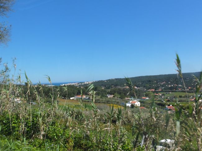 キャー<br /><br />海がちらちら見え始める