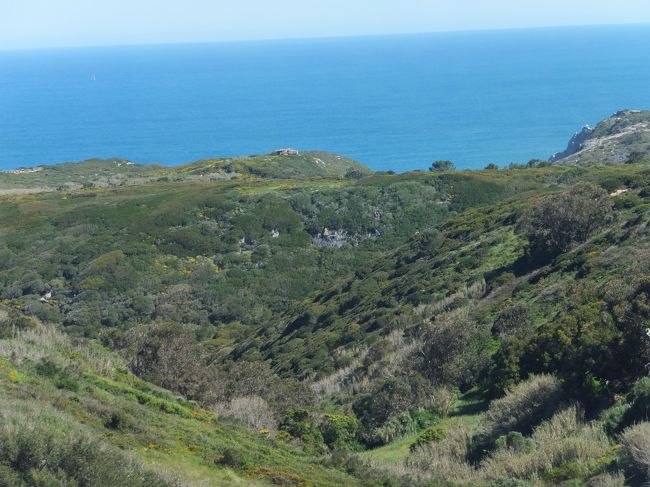 バスは特にスピードを緩めることなく、どんどん進む<br /><br />立ってなくてヨカッタ(;・∀・)