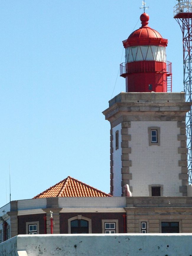 かわいいんですよｗ