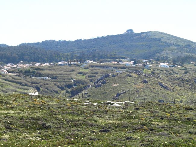 陸側<br /><br />特になし