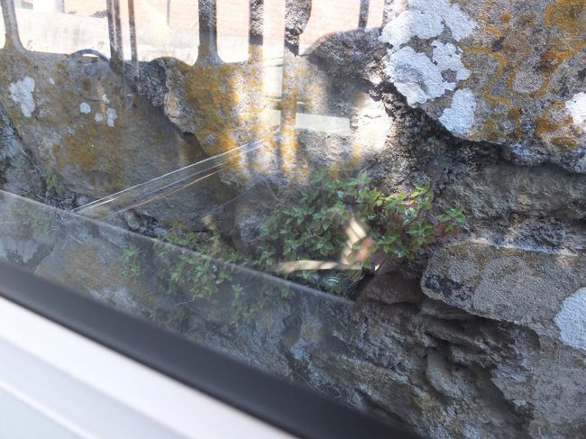 帰りのバスにて<br /><br />思いっきり細い道で前から来たバスとすれ違う<br /><br />めっちゃギリギリ<br /><br />運転手さんたちは笑顔で握手！