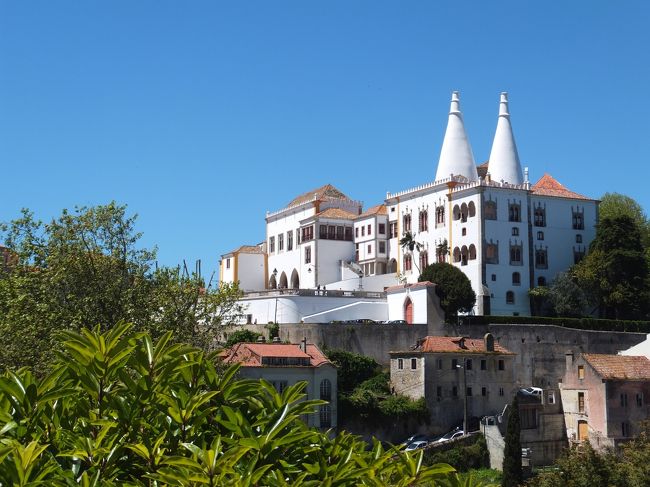 遠くから見るだけ〜