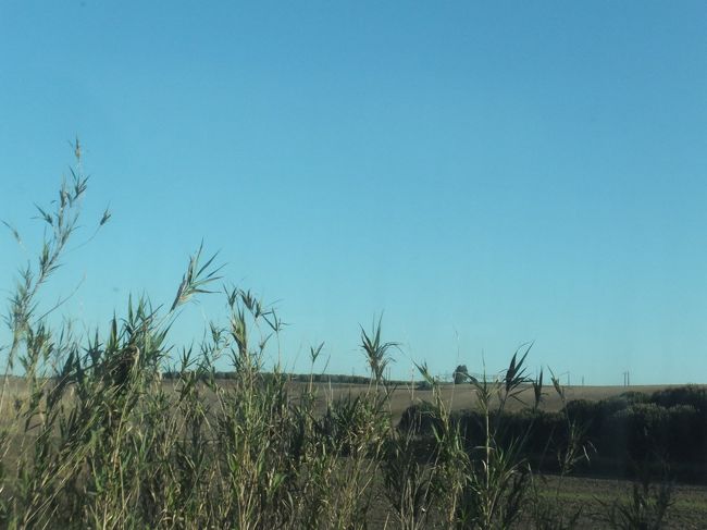 しばらくすると、牧歌的な風景<br /><br />今日もええ天気ですわ