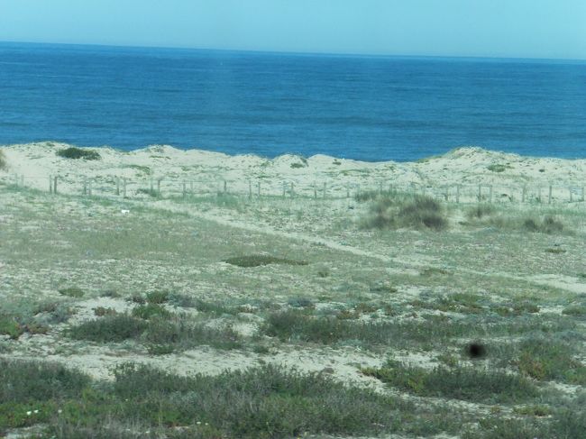 散歩している人もたくさん見かけた<br /><br />気持ちええよね