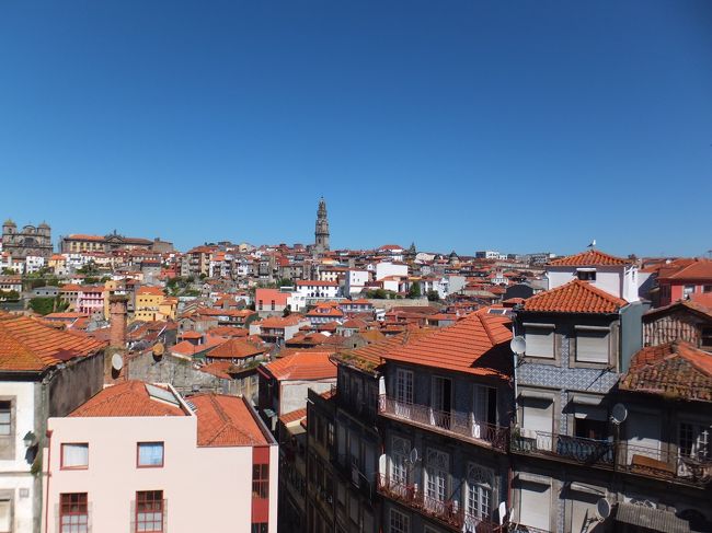 カテドラルからの眺め<br /><br />茶色い屋根がひしめきあってるｗ