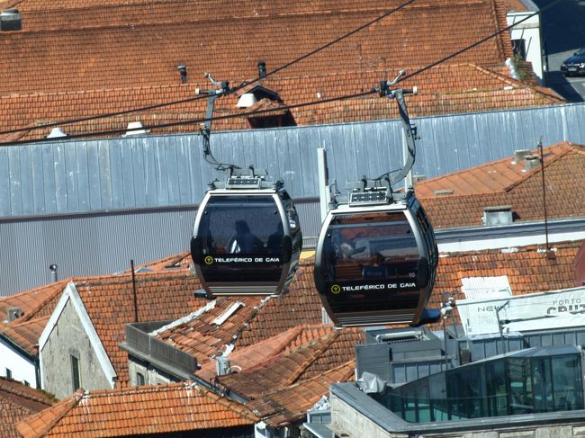 空中散歩も楽しいもんだ