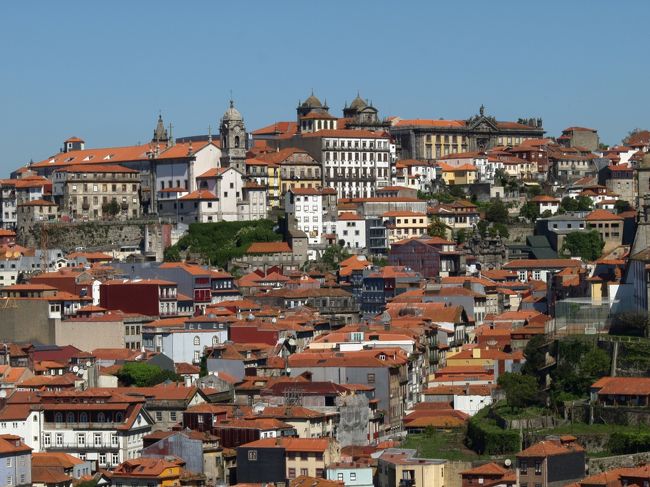 こちらも何枚も・・・すんません。。