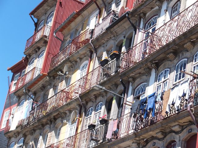 すっごく日当たりよさそう