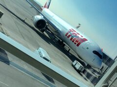 初めて見る機体は美しい〜！

ＴＡＭ（ブラジル航空）は、世界に先駆けて、かなり早い時期にこの機体を導入したようです。

ただ、国際線用ではなく、国内線としてマナウス（アマゾン）⇔サンパウロ間のルートを飛んでいます。

まあ距離的には、５時間近くも掛かるので......国際線みたいもんですが.....。