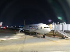 今回の旅行では７回も飛行機に乗ることになります。

最初は大阪/伊丹20:20--東京/羽田（JL138）です。