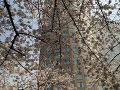 品川プリンスホテルのタワー