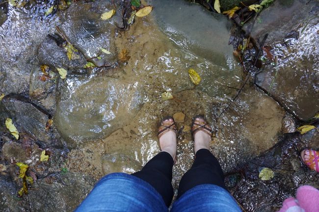 ところどころ道に水がわき出ている　<br />気持ちいい(*^_^*)