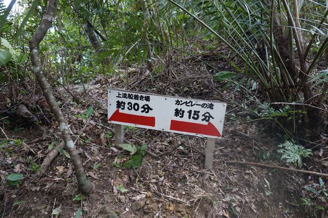 確か、この案内板よりはるかに時間がかかったような　笑<br />15分どころじゃなかった！<br />沖縄タイムか・・・私たちの脚力が及ばなかったのか・・・