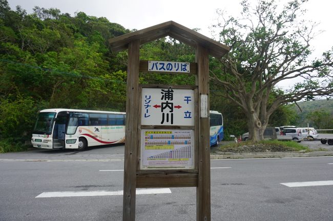 そして、一度石垣島に戻るために港に戻らないと。<br />お昼を過ぎていたけど、周りには全くお店がない！食べ物がない(T_T)<br />バス停で数少ない貴重な路線バスを待っていた。<br />けれども、おばかな私は乗り過ごしてしまった。次のバスはしばらく（１時間以上だったような）ない。<br />地元の観光バスの方に助けてもらい、何とか港に行きました。<br />はらはらの状況だった(*_*)<br />あのとき助けてくださったおじいさんとおじさんありがとうございました。