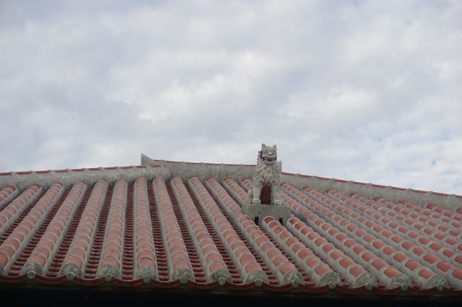 曇っていたようです