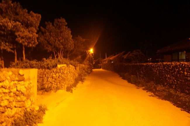 入浴後、またまた散歩。<br />竹富島も一泊なので、できるだけ動きまわなければ損！という貧乏根性。<br /><br />でも・・・街頭がほんのちょびっとで、人影もなく、とても怖かった。<br />色んな宿から声が聞こえると思っていたのに、特に聞こえず。<br />静かすぎる。猫がちらほら目を光らせている。<br /><br />怖くて写真には撮っていなかったけど、石垣に大きな花が咲いていた。<br />昼間また写真を撮ろう、と思ったら昼間は閉じていた・・・。<br />なんの花だったか忘れてしまいました。(^_^;)