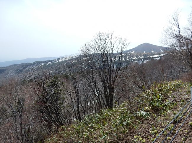 花見山のあと、予定になかった磐梯吾妻スカイラインのドライブに出かけました。<br />磐梯吾妻スカイラインは、建設費が償還され無料になっていました。<br /><br />高湯温泉を過ぎて間もなく、「天狗の庭」と呼ばれる場所に出ました。<br /><br />天狗がここで飛び跳ねて遊んだという言い伝えのある場所だそうです。<br />ただ、この季節に来てもダメで・・・<br /><br />紅葉の時期がベストとのこと。宿題ができました。