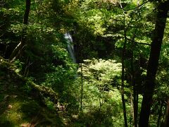 とうとう見つけました

野鹿の滝です