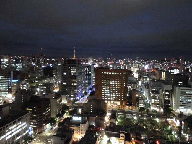 　窓からの夜景はこんな感じできれいす。昼間と全くイメージが変わります。
