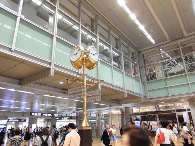 　JR名古屋駅の高島屋に行って見るだけショッピングをしました。後は帰るだけです。