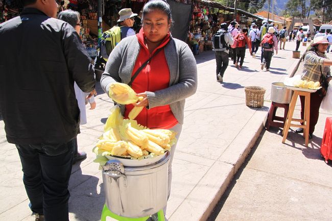 これがジャイアントコーンです。<br />とても粒の大きなトウモロコシです。<br />粒が大きいので食べ応えがあると思います。