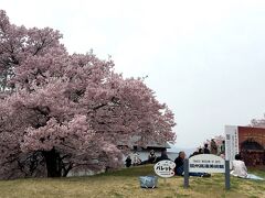 信州高遠美術館・・・入ったことない。（笑） トイレはよく借りる。（外にあるから）